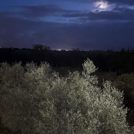 Collina Sul Mare דירה אורטונה